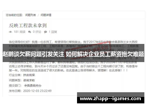 赵鹏谈欠薪问题引发关注 如何解决企业员工薪资拖欠难题
